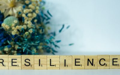 Resiliencia Organizacional
